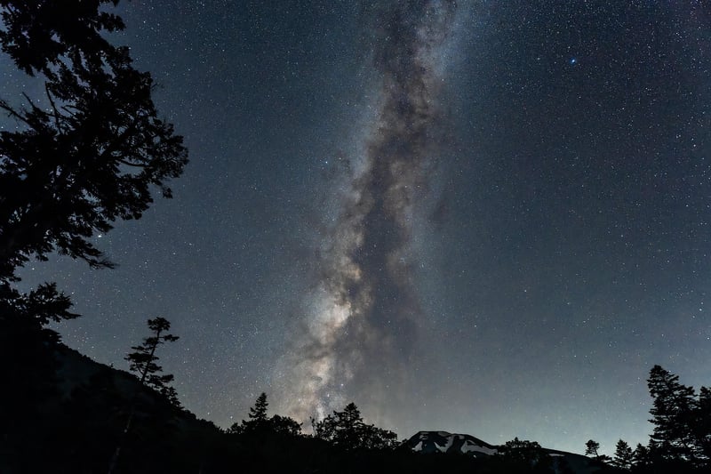 Celebrities at night